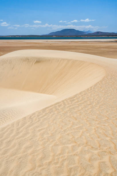 dune di sabbia vicino al lago anony - majestic landscape arid climate beach foto e immagini stock