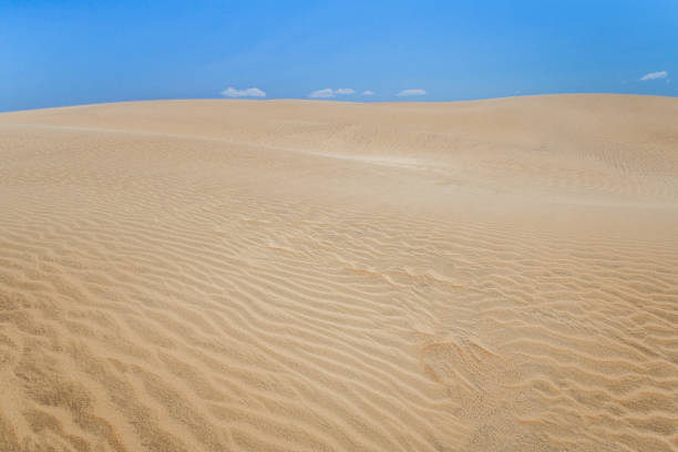istock Sand dune of desert 1010858880