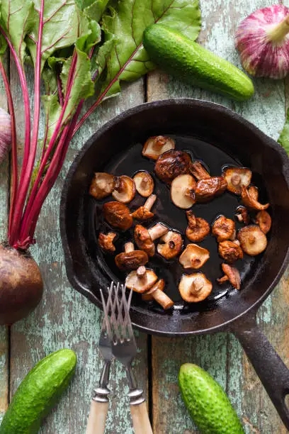 Edible forest mushrooms, vegan meal. Suillus luteus or clippery Jack mushrooms fried in cast iron pan surrounded with cucumbers and beets on shabby blue background top view