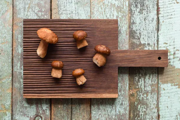 Wild forest mushrooms. Porcini (Boletus edulis) mushrooms on oak board copyspace top view