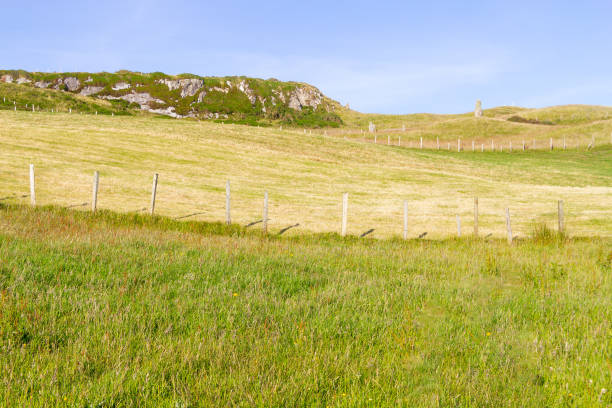 istock Farm field, rocks and iron fence 1010866928