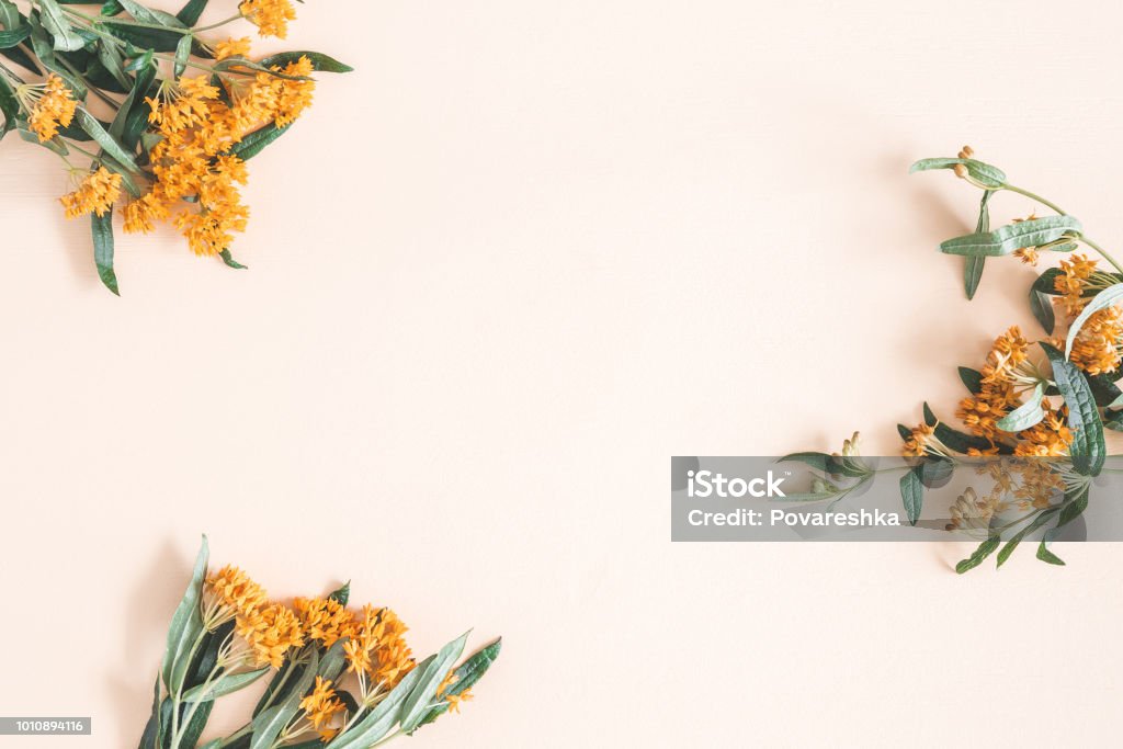 Otoño flores sobre fondo beige pastel. Vista plana endecha, superior - Foto de stock de Otoño libre de derechos