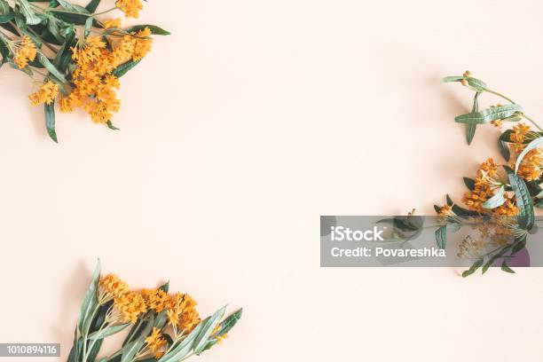 Otoño Flores Sobre Fondo Beige Pastel Vista Plana Endecha Superior Foto de stock y más banco de imágenes de Otoño