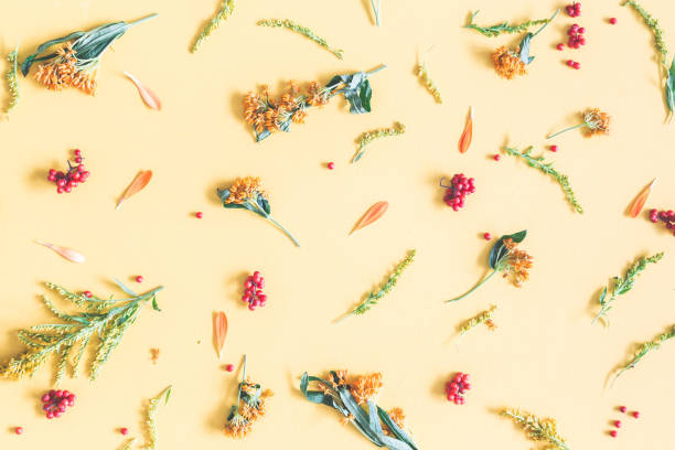 istock Autumn pattern on pastel yellow background.Flat lay, top view 1010894434