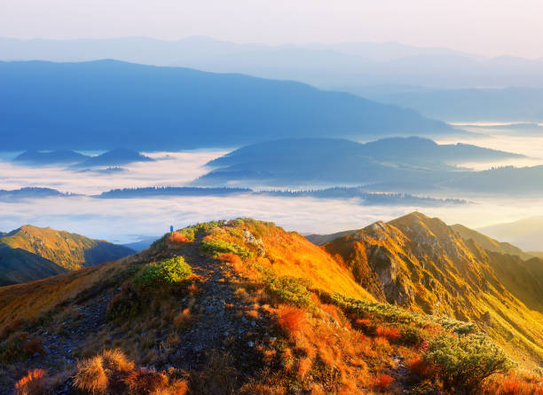istock Panorama of mountain scenery 1010901890