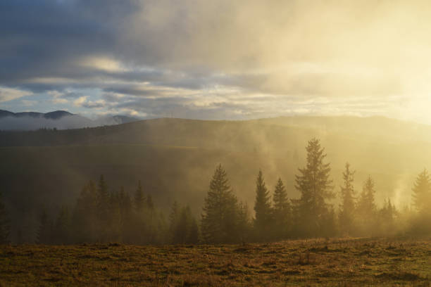 Autumn Landscape with mist and sunshine in the mountains. Fir forest on the slopes. Carpathians, Ukraine, Europe