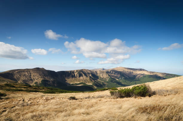 istock Autumn landscape on a sunny day in the mountains 1010903014