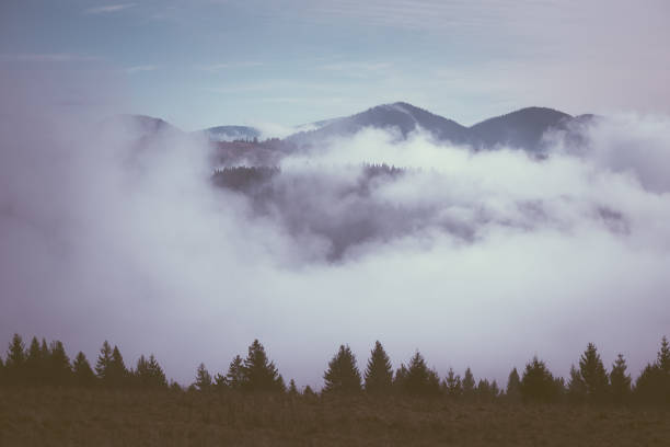 Autumn landscape with fog in the mountains. Magic Morning. Color toning. Low contrast