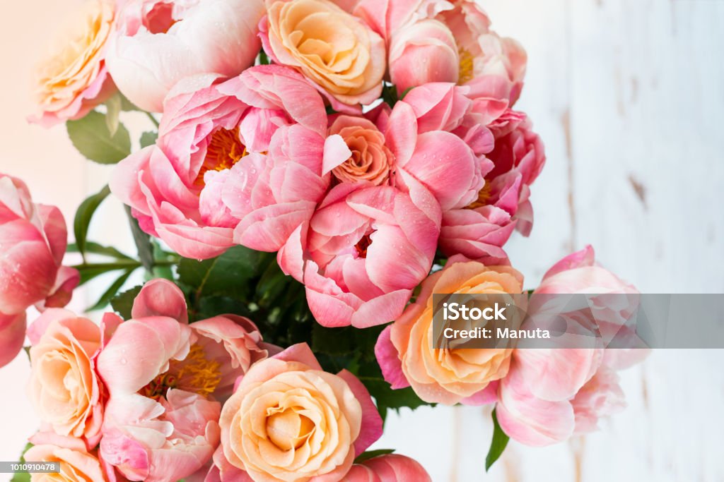Frais bouquet de pivoines roses et de roses - Photo de Pivoine libre de droits