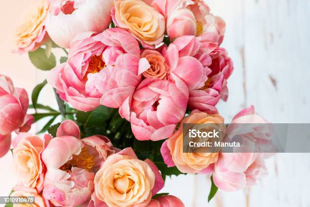 Photo libre de droit de Frais Bouquet De Pivoines Roses Et De Roses banque d'images et plus d'images libres de droit de Pivoine - Pivoine, Fleur - Flore, Rose - Fleur