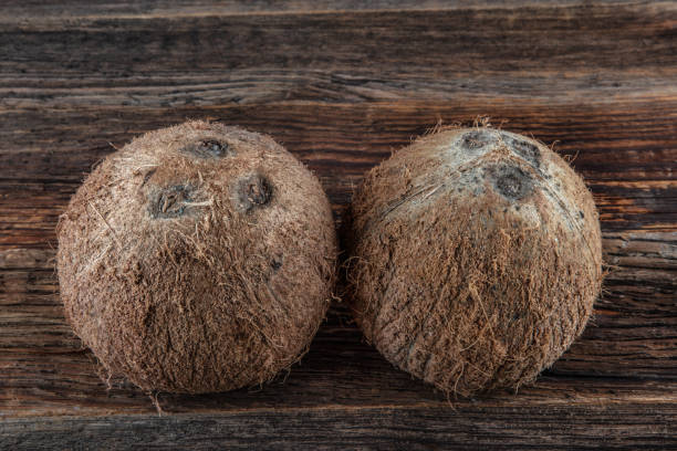 istock coconut fruit on wooden floor 1010915160