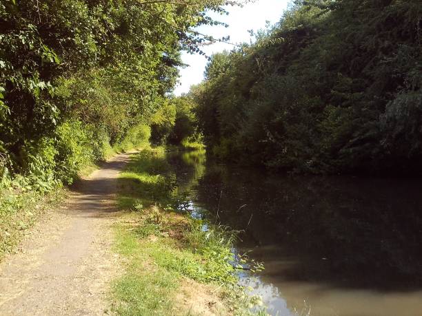 istock A Trot By Tuttle Hill Mooring 1010933064