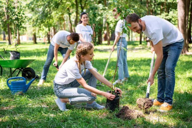 istock volunteers planting tree in green park together 1010944248