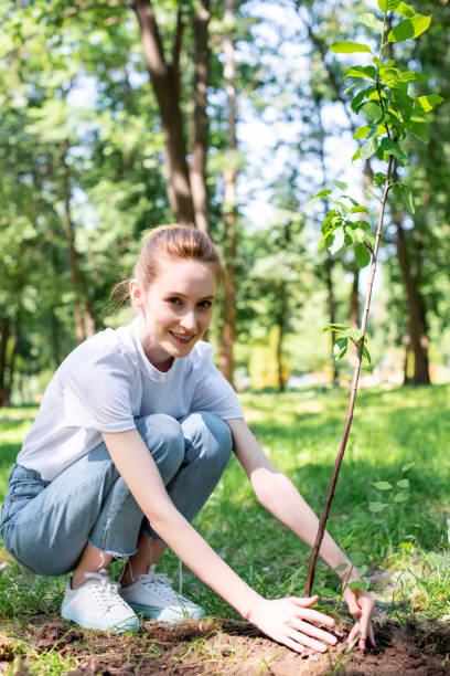 istock beautiful smiling volunteer planting new tree in park 1010948628