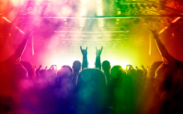 istock Concert crowd in front of a live stage 1010967278