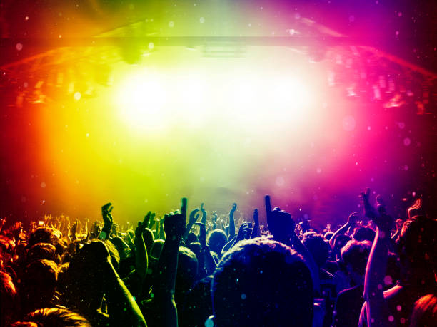 istock Concert crowd in front of a live stage 1010969344