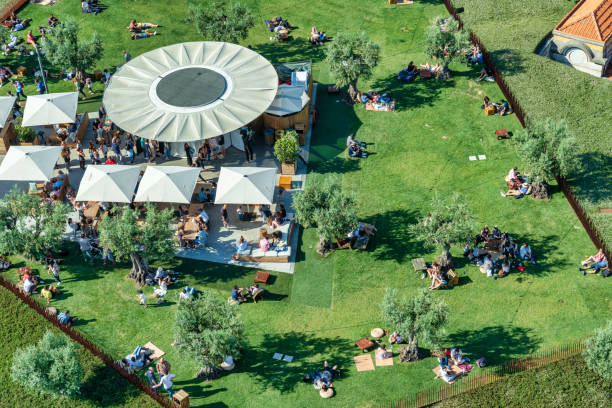 istock Aerial view crowd of people in park 1010972584