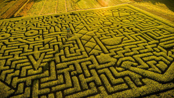 labyrinthe de maïs de l’halloween énorme en pennsylvanie, région des poconos - the poconos region photos et images de collection