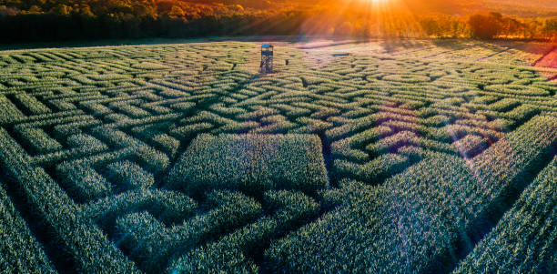The huge Halloween's Corn Maze in Pennsylvania, Poconos Region The aerial view to the huge Halloween's Corn Maze in Pennsylvania, Poconos Region, at sunset corn-maze stock pictures, royalty-free photos & images