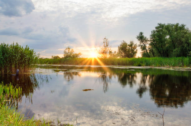istock sunset over the Dnieper river in the summer evening 1010989918