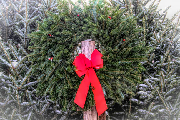 istock Green Wreath in Christmas Tree Lot 1011006650