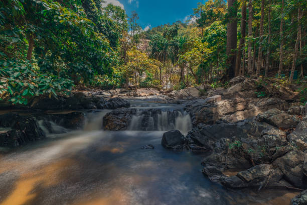 istock Beautiful forest and waterfal 1011021990