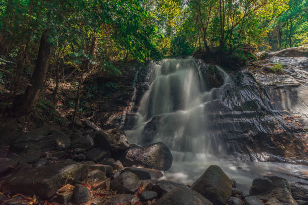 istock Beautiful forest and waterfal 1011022136