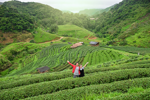 amor pareja toma el cuadro con 2000 de plantación de té en temporada de lluvias en Ang Khang, Chiang Mai, Tailandia photo