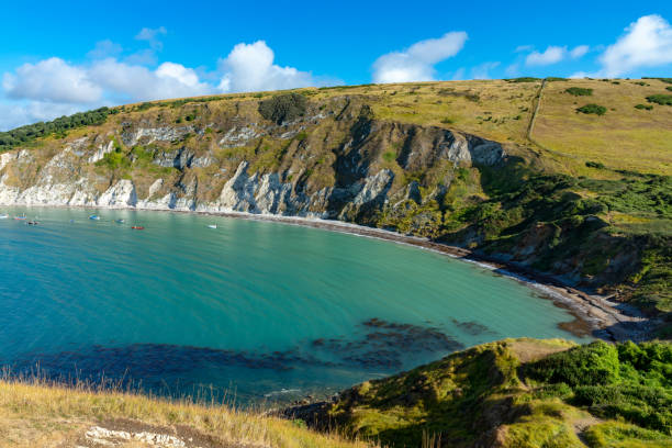 istock Lulworth Cove, Dorset, England 1011041444