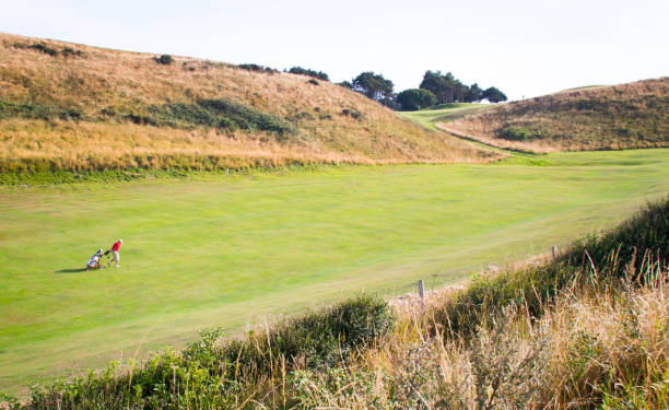 istock The trees and green grass on a golf course. 1011048990