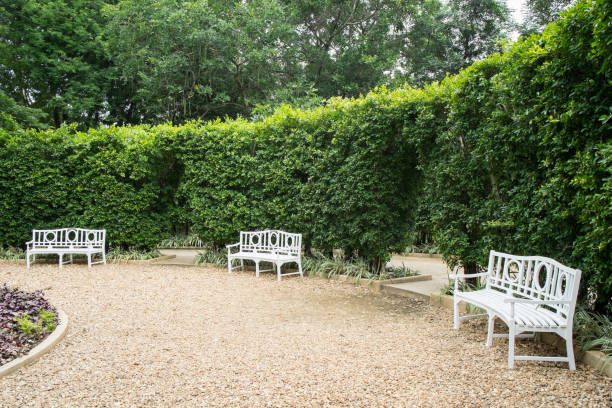 istock A white chair in a green garden 1011049608