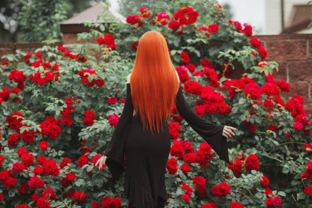 young miraculous gothic girl with in black dress on dark background. redhead pale model on background of roses bush. stylish miraculous woman. fashionable gothic clothes. outfit for halloween. back - awe black ceremonial makeup stage makeup imagens e fotografias de stock