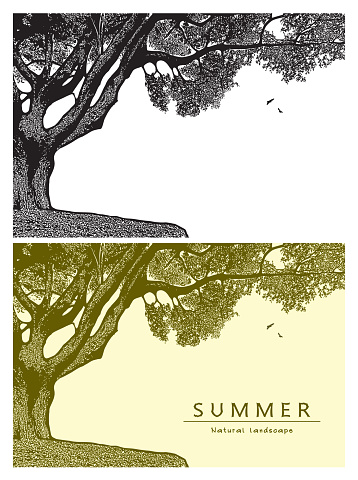 Vector graphic illustration of summer nature in black and white and beige color, vintage style.