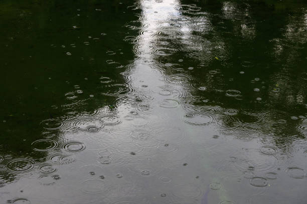 istock The sorrow of a rainy day 1011070042