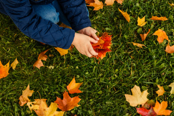 Kids play in autumn park. Children throwing yellow and red leaves. Little child in blue coat with maple leaves. Fall foliage. Family outdoor fun in autumn. thanksgiving holiday card.Copy space los niños jugar en el parque de otoño. niños tirando hojas amarillas y rojas. niño pequeño en una capa azul con arce hojas. follaje de otoño. diversión familiar al aire libre en otoño. tarjeta del día de fiesta de acción de gracias. copia espacio