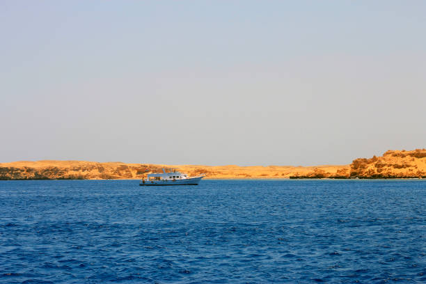 istock White ship moving by the red sea 1011085438