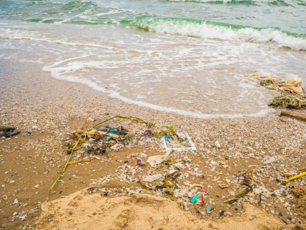 istock Garbage on Beautiful Beach,Environment pollution in Travel high season 1011085678