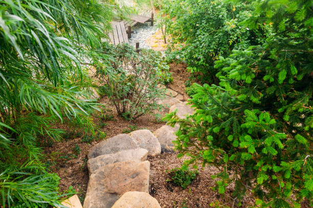 istock japanese stone garden landscape in summer 1011085784