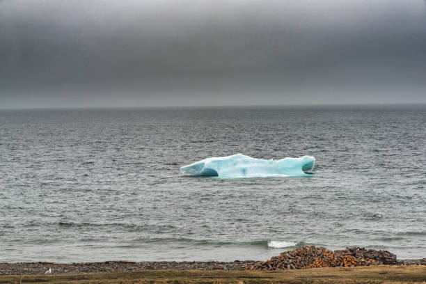 istock Iceberg in Gulf of Saint Lawrence 1011094104