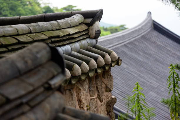 istock Tile of Chukseosa Temple 1011094986