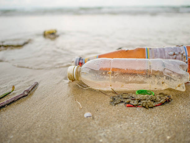 istock Plastic bottle or Garbage on the Beach in high travel season 1011097598
