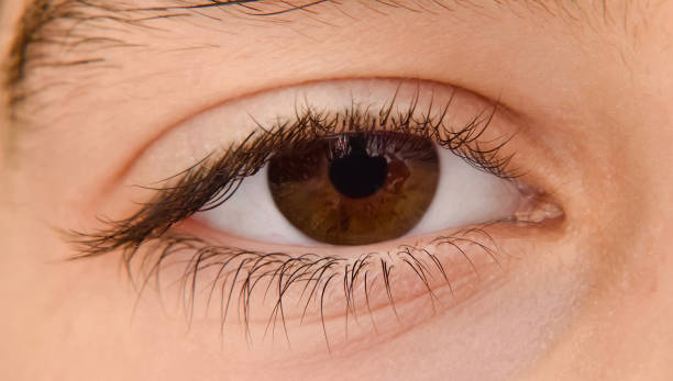 istock Close-up of a human eye 1011108294