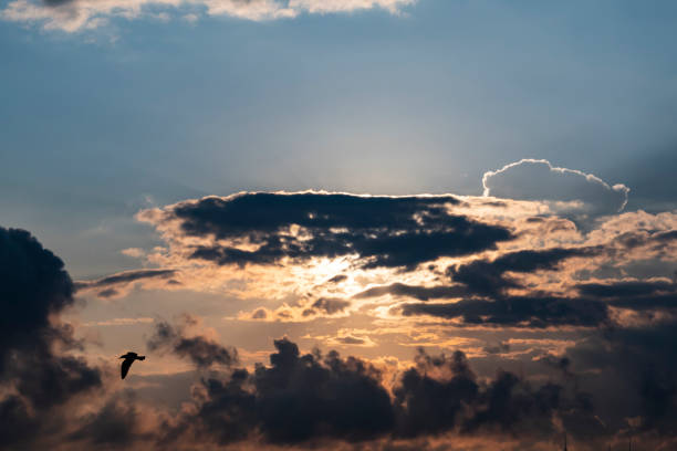 istock air movements at the sky in cloudy weather 1011125282