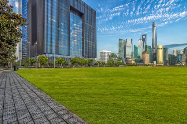 istock Green city against clear sky,shanghai 1011125406