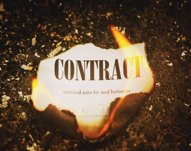 istock Legal Contract document goes up in flames 1011133174