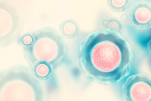istock Cells with nucleus on scientific background 1011137884