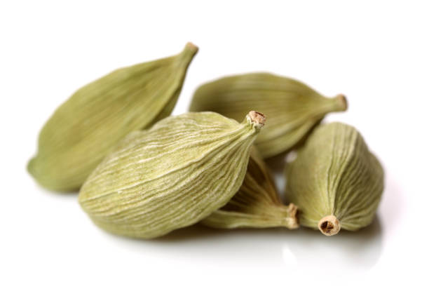 Cardamom is used as a herb,spice and flavoring agent. its maximum cultivation is seen in india. Cardamom is used as a herb,spice and flavoring agent. its maximum cultivation is seen in india. Cardamom stock pictures, royalty-free photos & images