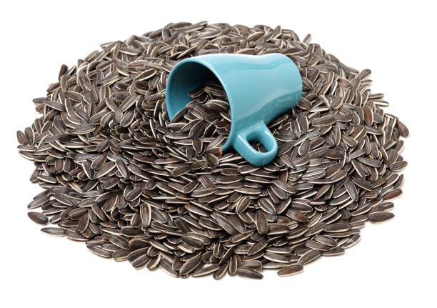 Pile of sunflower seed isolated on white background