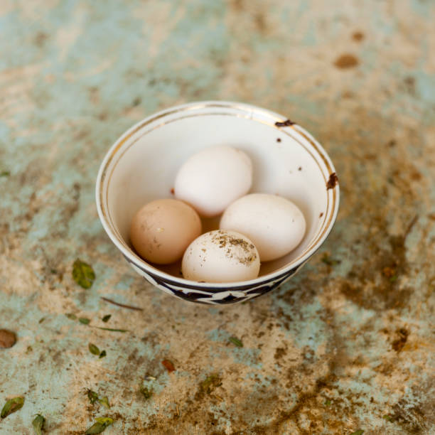 istock Natural eggs in ceramic pot. Home farm organic eggs 1011165666