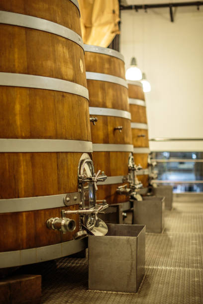 istock Wooden fermentation barrels in wine cellar 1011169724